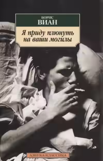 Аудиокнига Я приду плюнуть на ваши могилы — слушать онлайн бесплатно