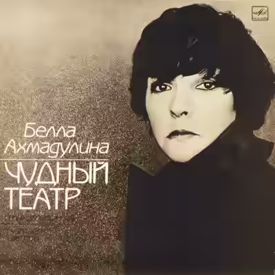 Аудиокнига Чудный театр. Гусиный паркер — слушать онлайн бесплатно