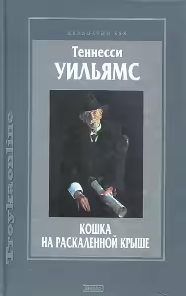 Аудиокнига Кошка на раскаленной крыше — слушать онлайн бесплатно