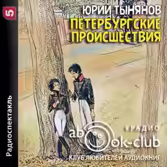 Аудиокнига Петербургские происшествия — слушать онлайн бесплатно