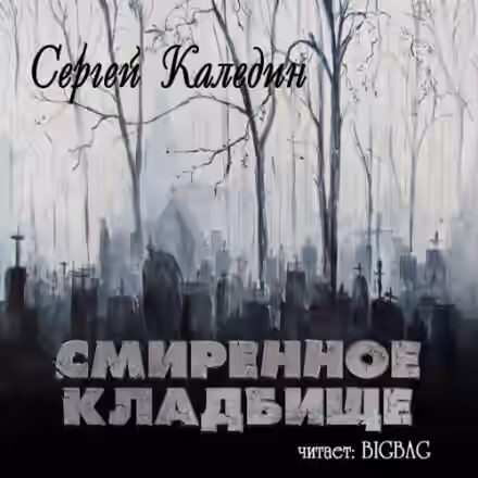 Аудиокнига Смиренное кладбище — слушать онлайн бесплатно