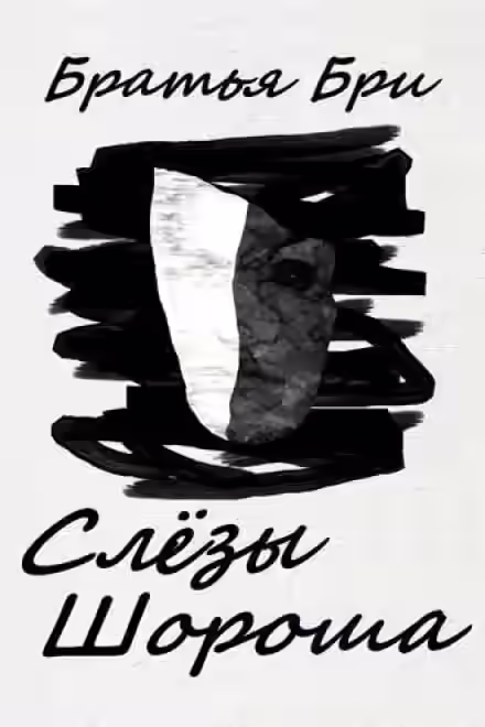 Аудиокнига Слёзы Шороша. Книга 1 — слушать онлайн бесплатно