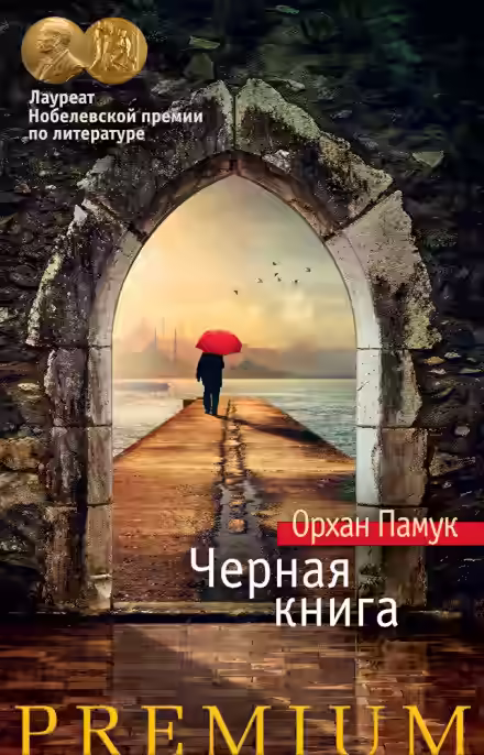 Аудиокнига Черная книга — слушать онлайн бесплатно