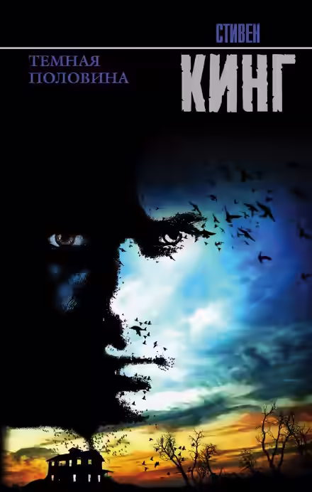 Аудиокнига Темная половина — слушать онлайн бесплатно