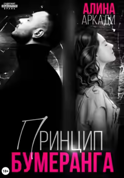 Аудиокнига Принцип бумеранга — слушать онлайн бесплатно