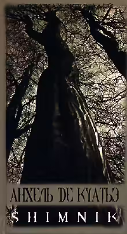 Аудиокнига Схимник — слушать онлайн бесплатно