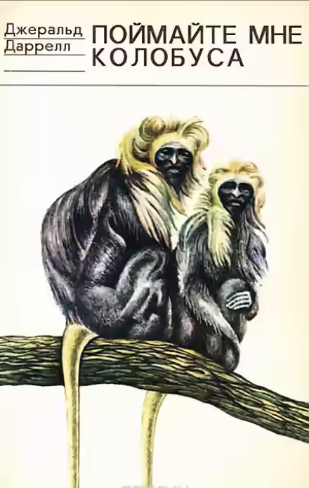 Аудиокнига Поймайте мне колобуса — слушать онлайн бесплатно