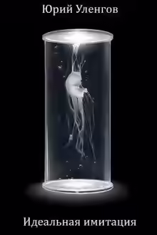 Аудиокнига Идеальная имитация — слушать онлайн бесплатно