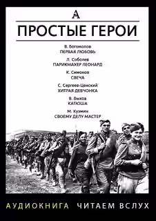 Аудиокнига Простые герои (Сборник) — слушать онлайн бесплатно