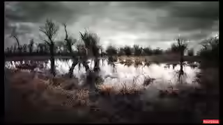 Аудиокнига Пруд — слушать онлайн бесплатно