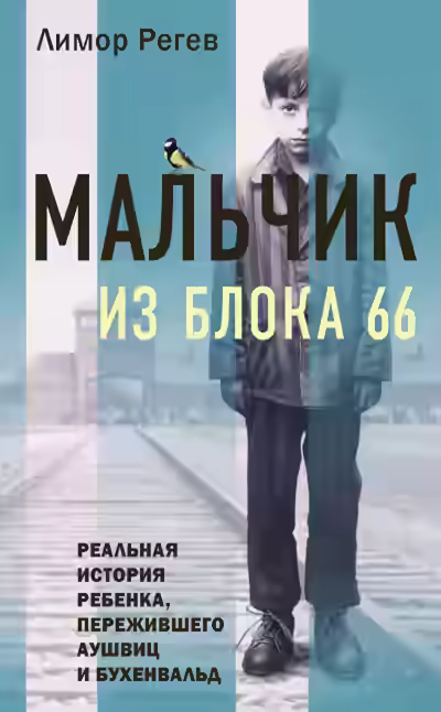 Аудиокнига Мальчик из Блока 66. Реальная история ребенка, пережившего Аушвиц и Бухенвальд — слушать онлайн бесплатно