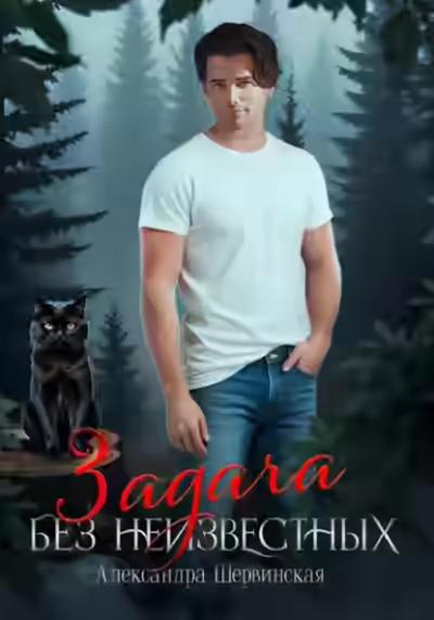 Аудиокнига Задача без неизвестных — слушать онлайн бесплатно