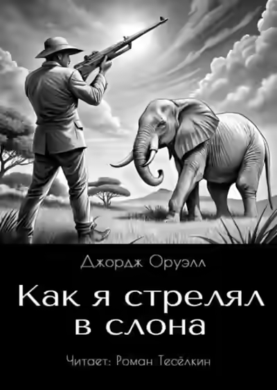 Аудиокнига Как я стрелял в слона — слушать онлайн бесплатно