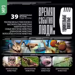 Аудиокнига Удивительные животные — слушать онлайн бесплатно