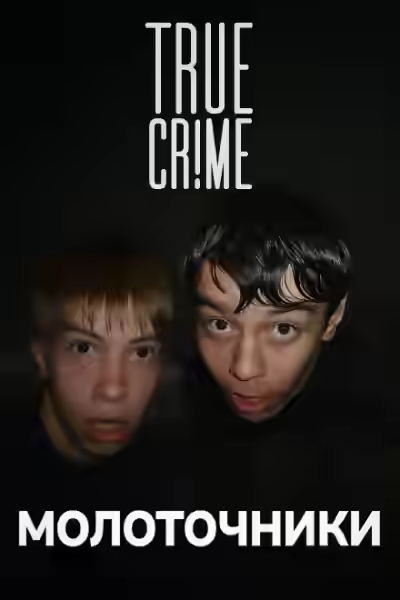 Аудиокнига Академгородок: молотки в ночи Иркутска — слушать онлайн бесплатно