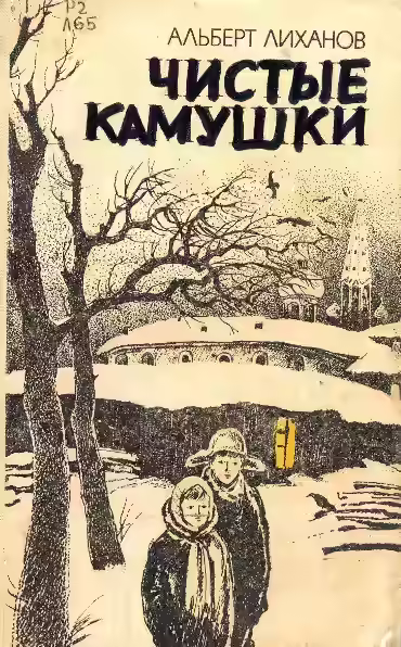 Аудиокнига Чистые камушки — слушать онлайн бесплатно