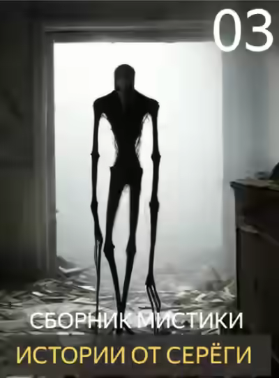 Аудиокнига Истории от Серёги 3 — слушать онлайн бесплатно
