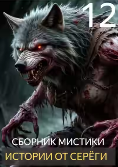 Аудиокнига Истории от Серёги 12 — слушать онлайн бесплатно