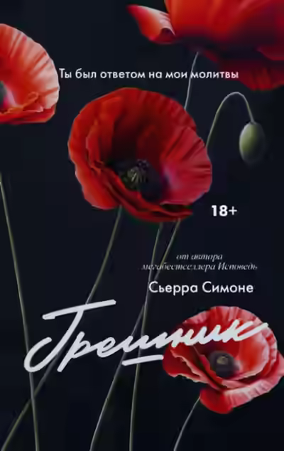 Аудиокнига Грешник — слушать онлайн бесплатно