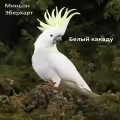 Аудиокнига Белый какаду — слушать онлайн бесплатно