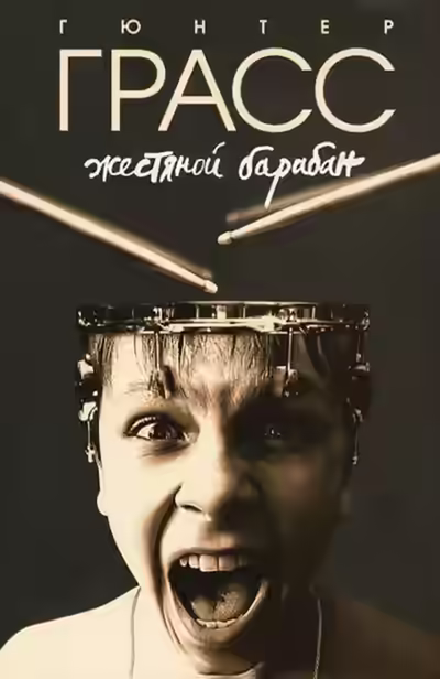 Аудиокнига Жестяной барабан — слушать онлайн бесплатно