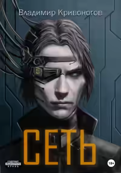 Аудиокнига Сеть. Трилогия — слушать онлайн бесплатно