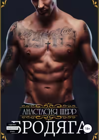 Аудиокнига Бродяга — слушать онлайн бесплатно