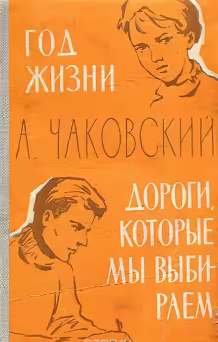 Аудиокнига Год жизни. Дороги, которые мы выбираем — слушать онлайн бесплатно
