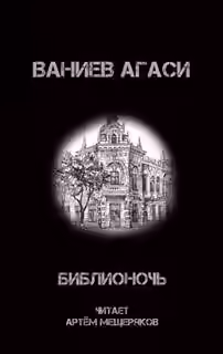 Аудиокнига Библионочь — слушать онлайн бесплатно