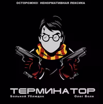 Аудиокнига Фандом Гарри Поттера 