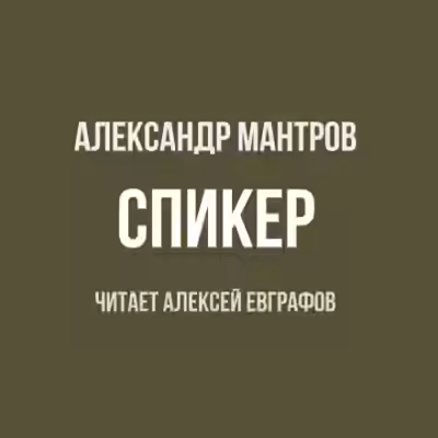 Аудиокнига Спикер — слушать онлайн бесплатно