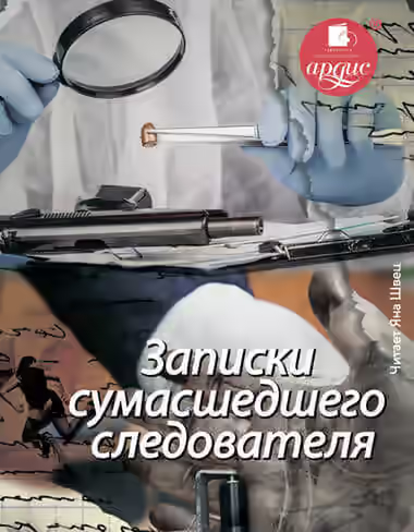 Аудиокнига Записки сумасшедшего следователя — слушать онлайн бесплатно