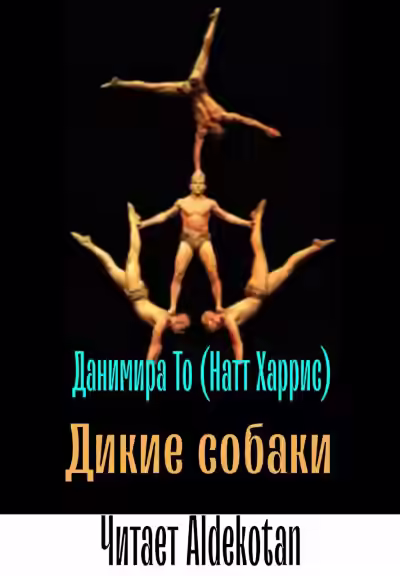 Аудиокнига Дикие собаки — слушать онлайн бесплатно