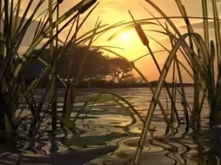 Аудиокнига Тишиною благословенная — слушать онлайн бесплатно