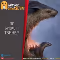 Аудиокнига Твинер — слушать онлайн бесплатно
