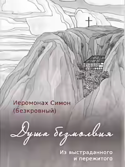 Аудиокнига Душа безмолвия — слушать онлайн бесплатно