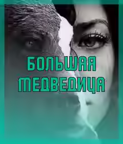 Аудиокнига Большая медведица — слушать онлайн бесплатно