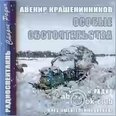 Аудиокнига Особые обстоятельства — слушать онлайн бесплатно