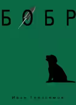 Аудиокнига Бобр — слушать онлайн бесплатно