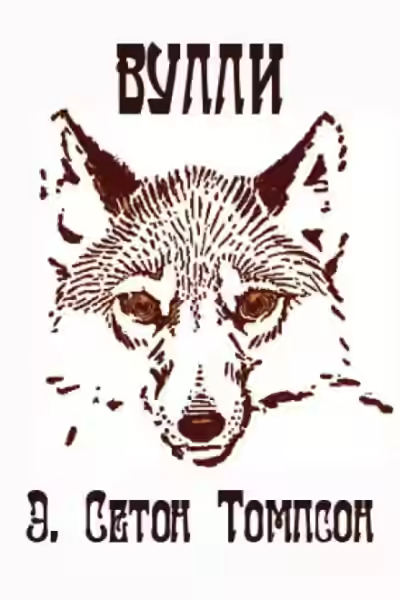 Аудиокнига Вулли — слушать онлайн бесплатно