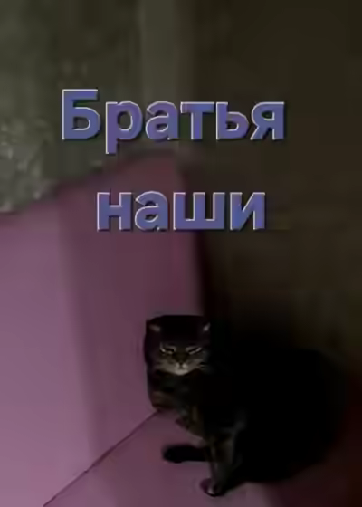 Аудиокнига Братья наши — слушать онлайн бесплатно