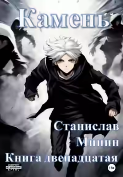 Аудиокнига Камень. Книга 12 — слушать онлайн бесплатно